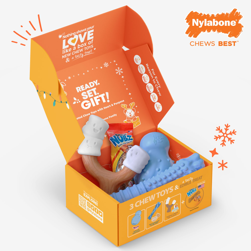 018214855934-nylabone-holidayt-box-large-dog-phase2-inpackagingopenbox