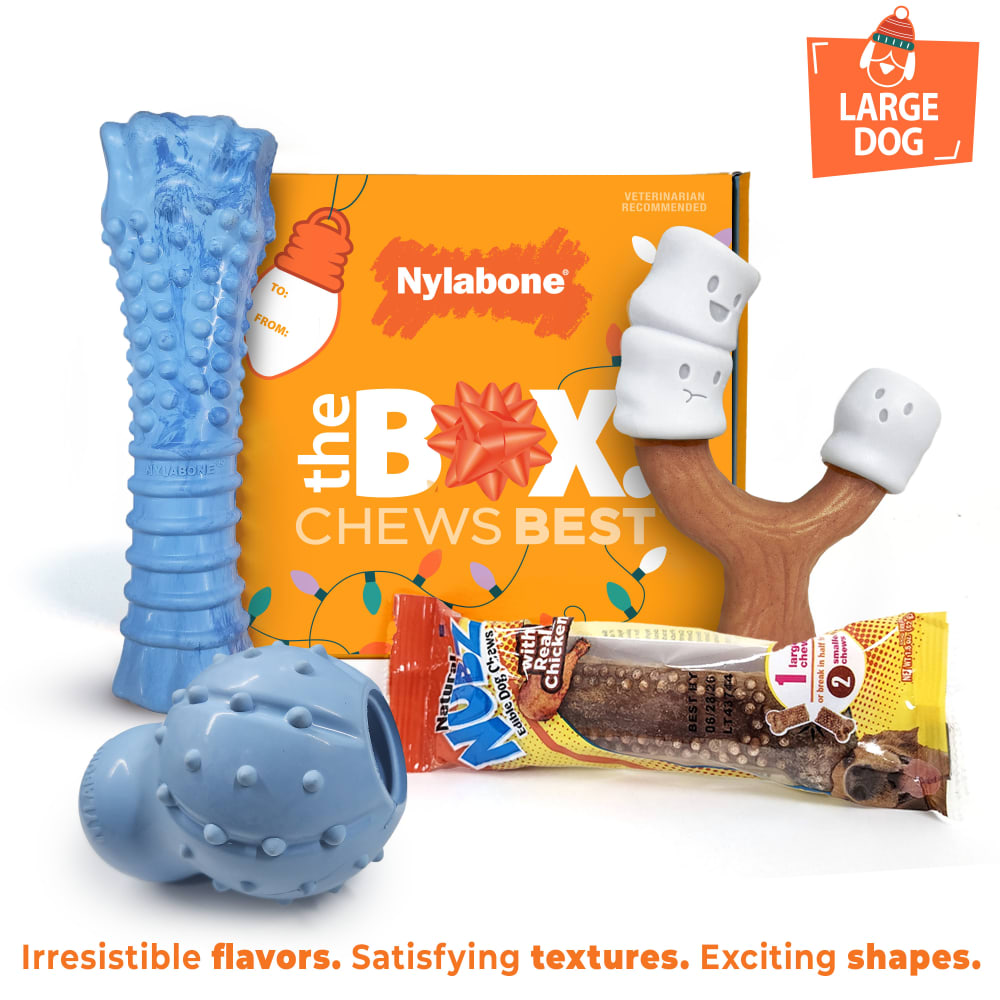 018214855934-nylabone-holidayt-box-large-dog-phase2-outofpackage