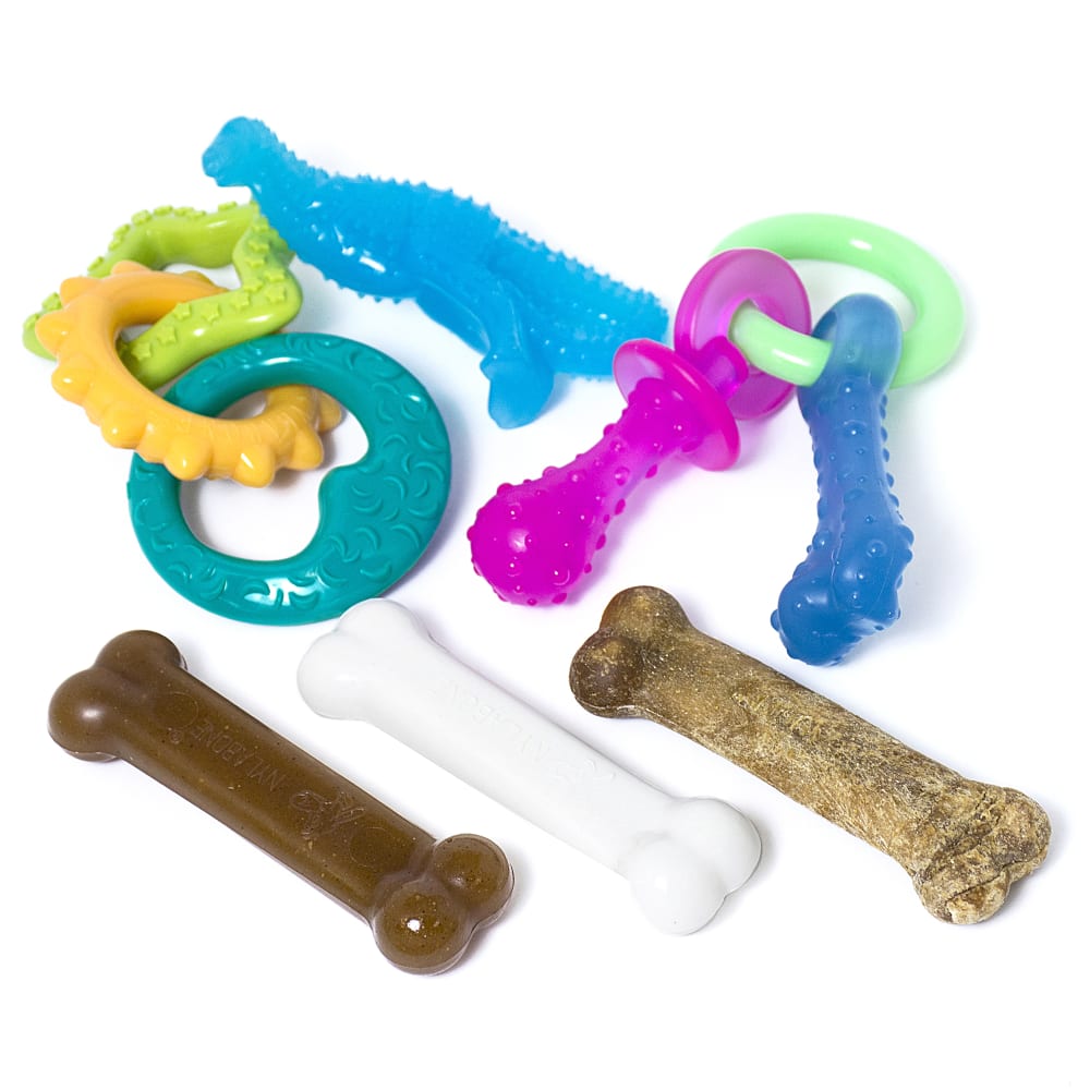 018214843344-nylabone-amazon-puppy-bundle-kit-med-familygroup