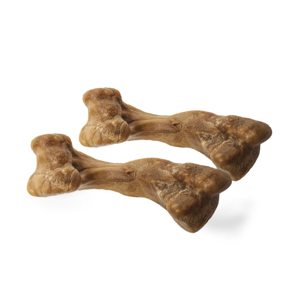 018214838166-nylabone-he-wild-bison-16ct-pch-sm-vp-outofboxfront