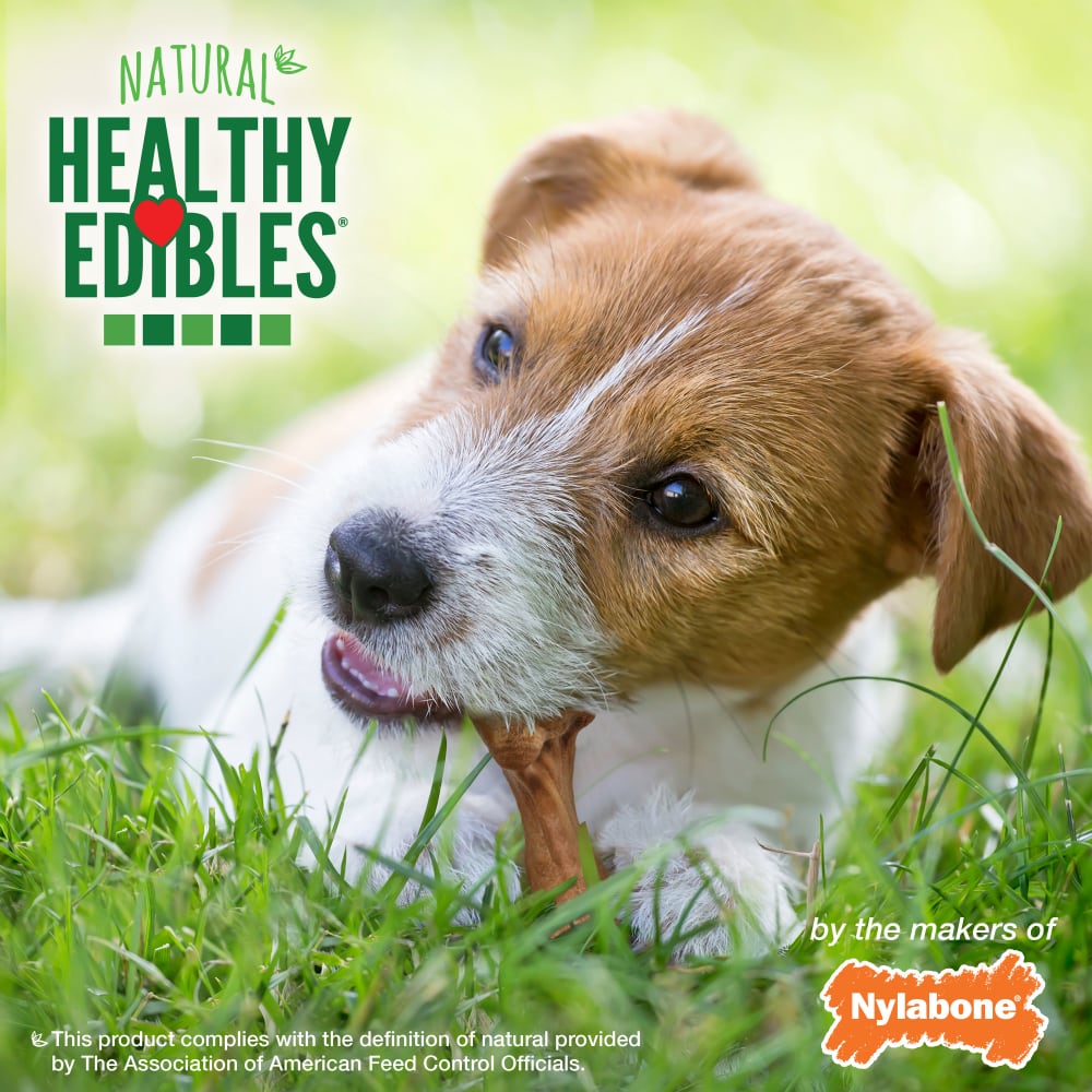 018214838166-nylabone-healthy-edibles-bison-16ct-regular-lifestyle