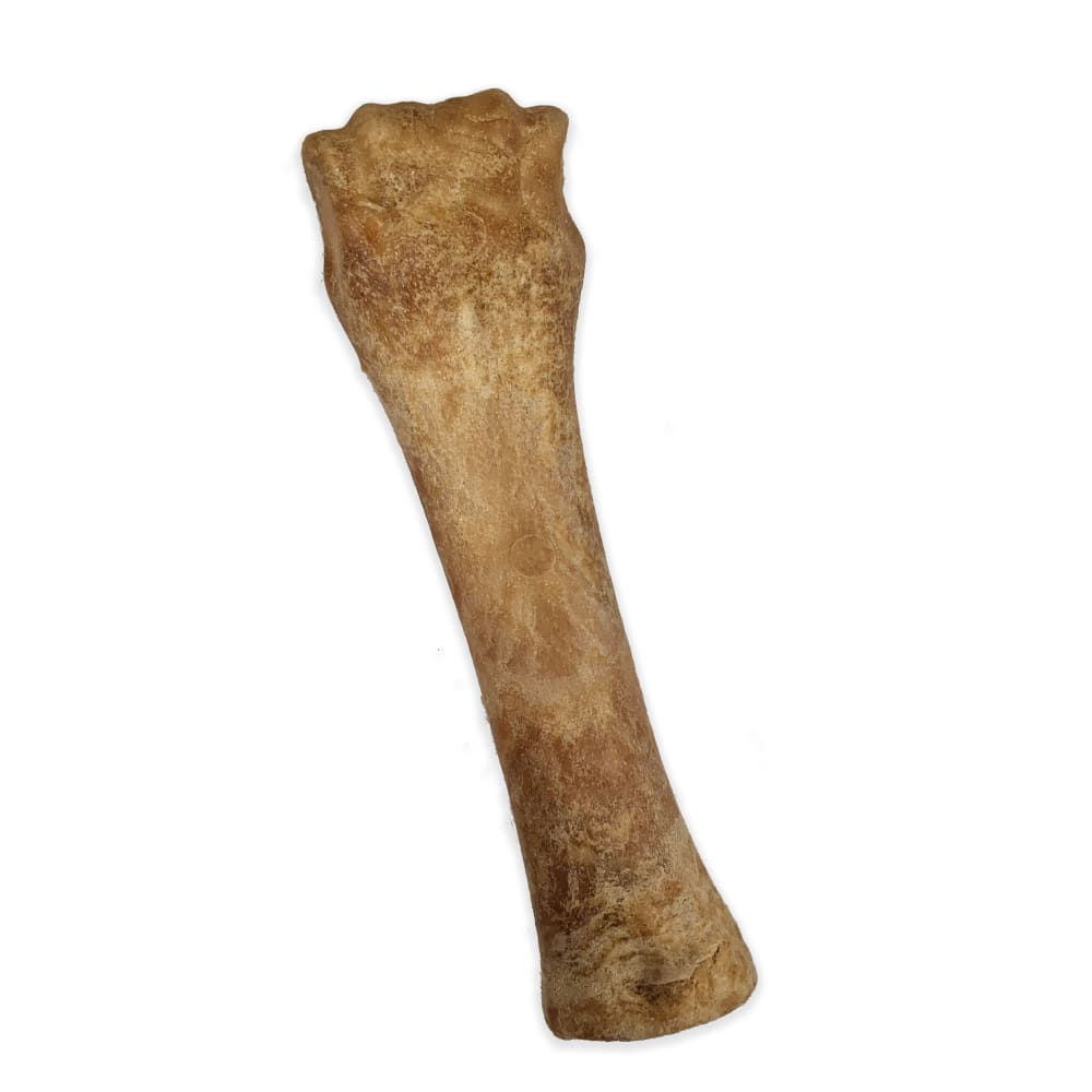 018214844501-nylabone-nubz-beef-natural-long-lasting-edible-dog-chews-outofboxfront