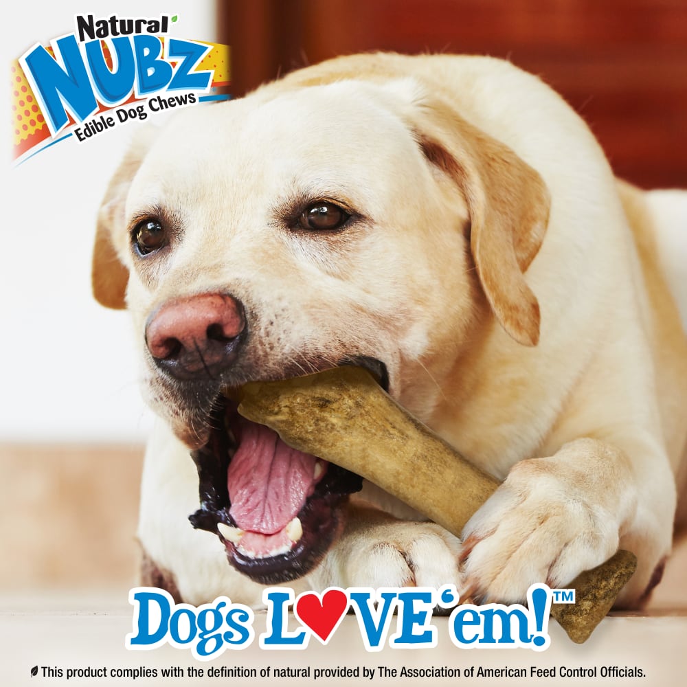 018214844501-nylabone-nubz-beef-souper-lifestyle