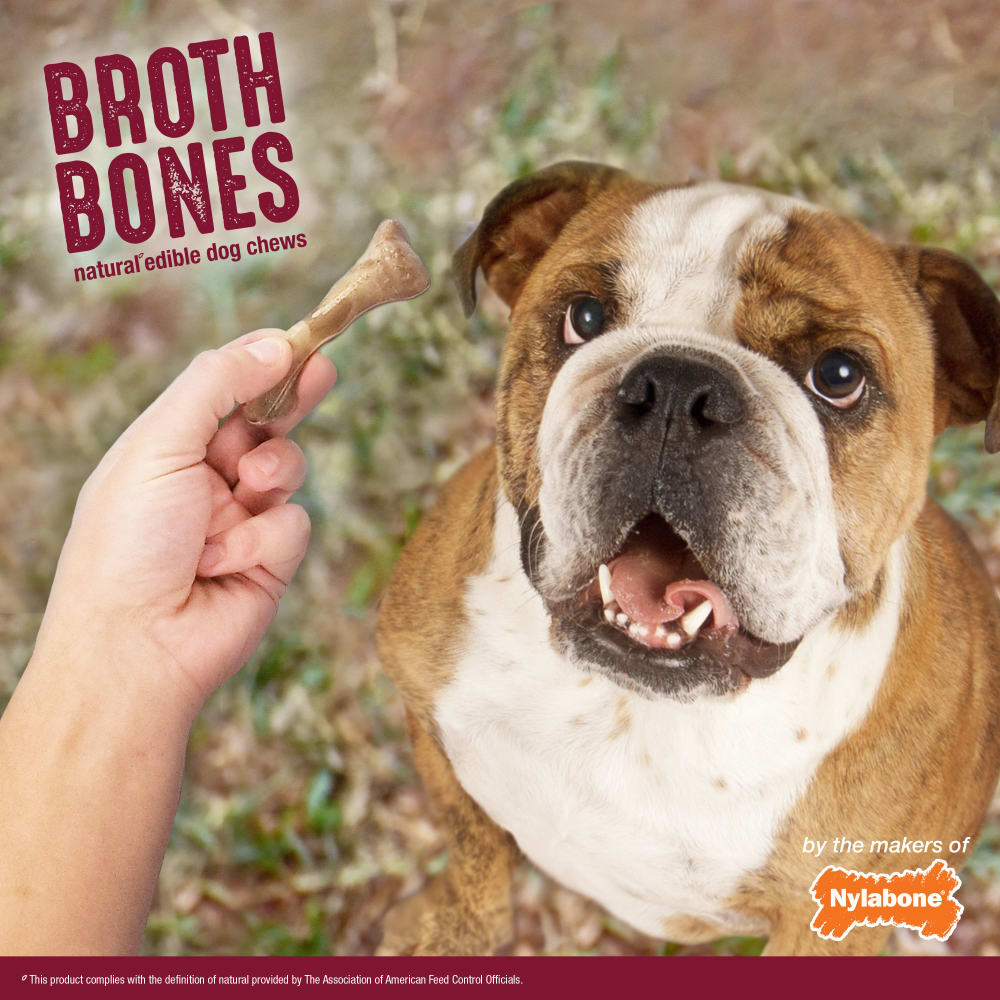 018214852360-nylabone-nylabone-broth-bones-natural-edible-dog-chews-ham-20-count-lifestyle