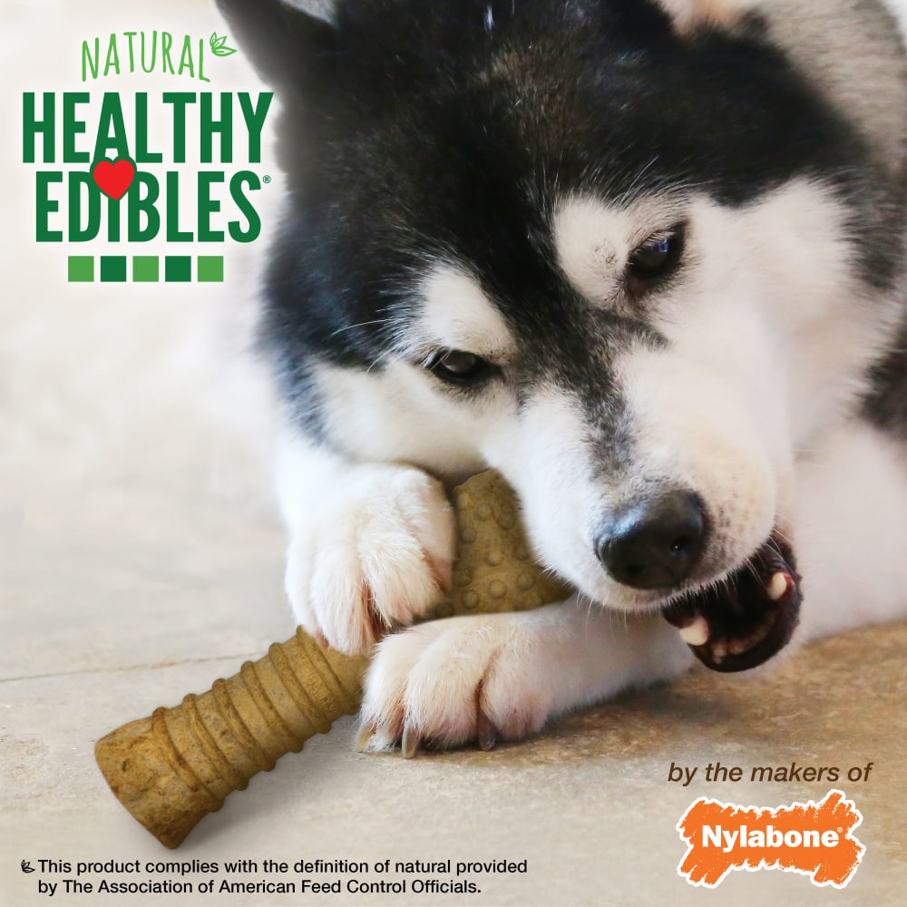 Nylabone healthy edibles warning best sale