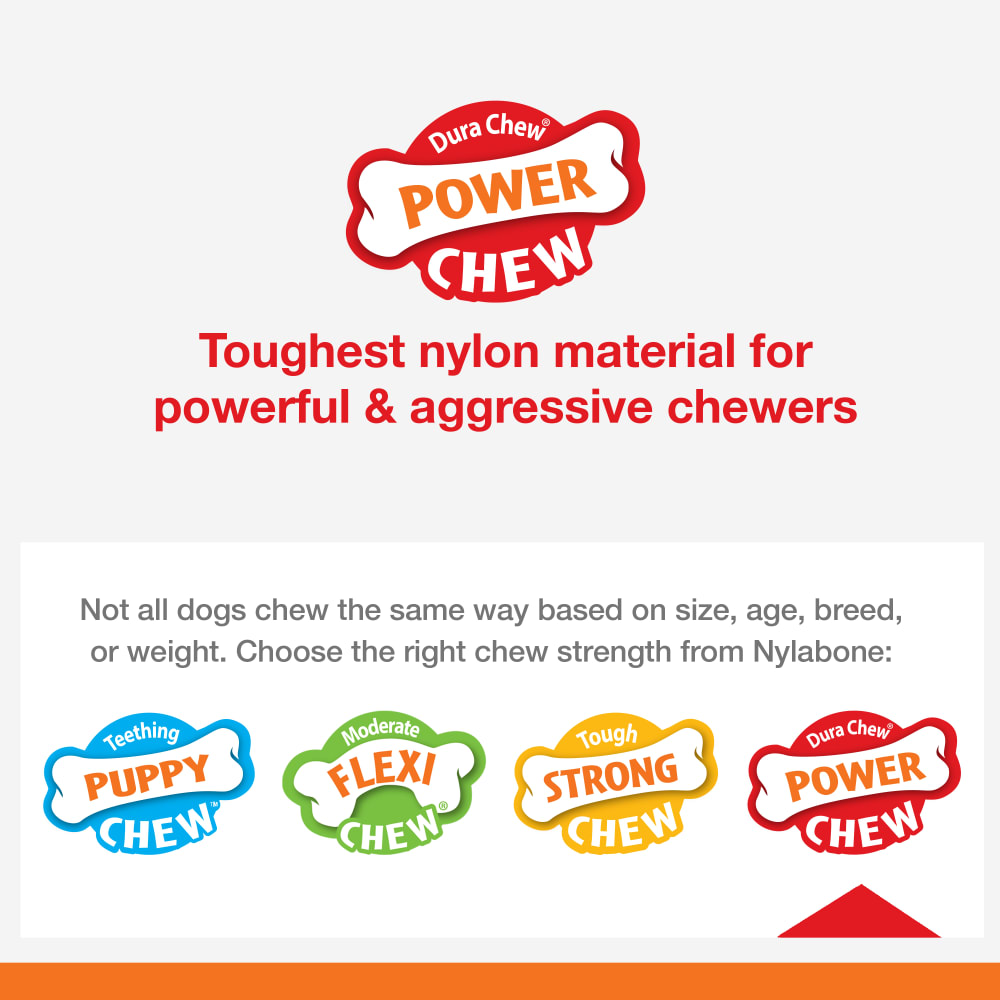 018214853046-nylabone-power-chew-lobster-regular-chewchart