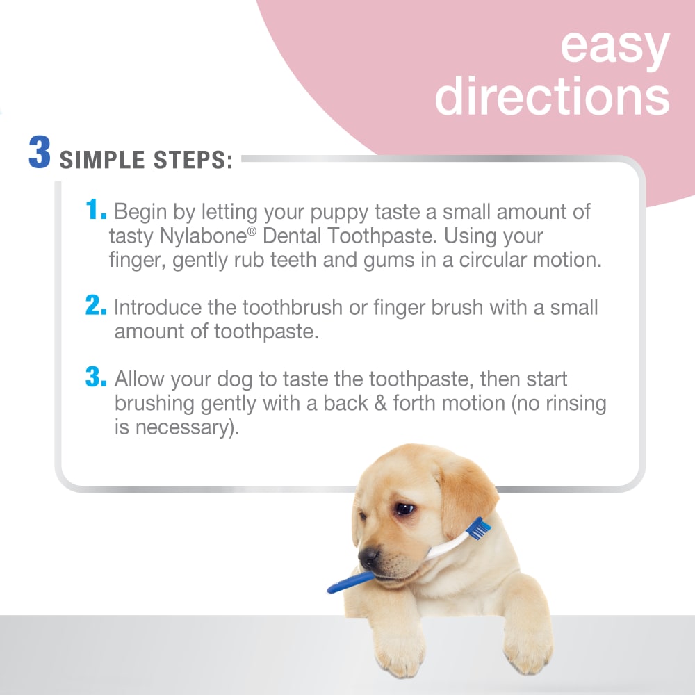 Nylabone puppy dental kit best sale