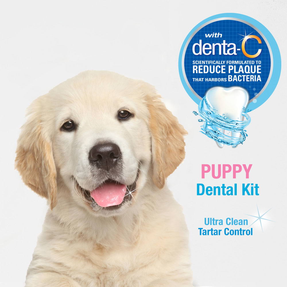 018214827924-aoc-puppydentalkit-lifestyle