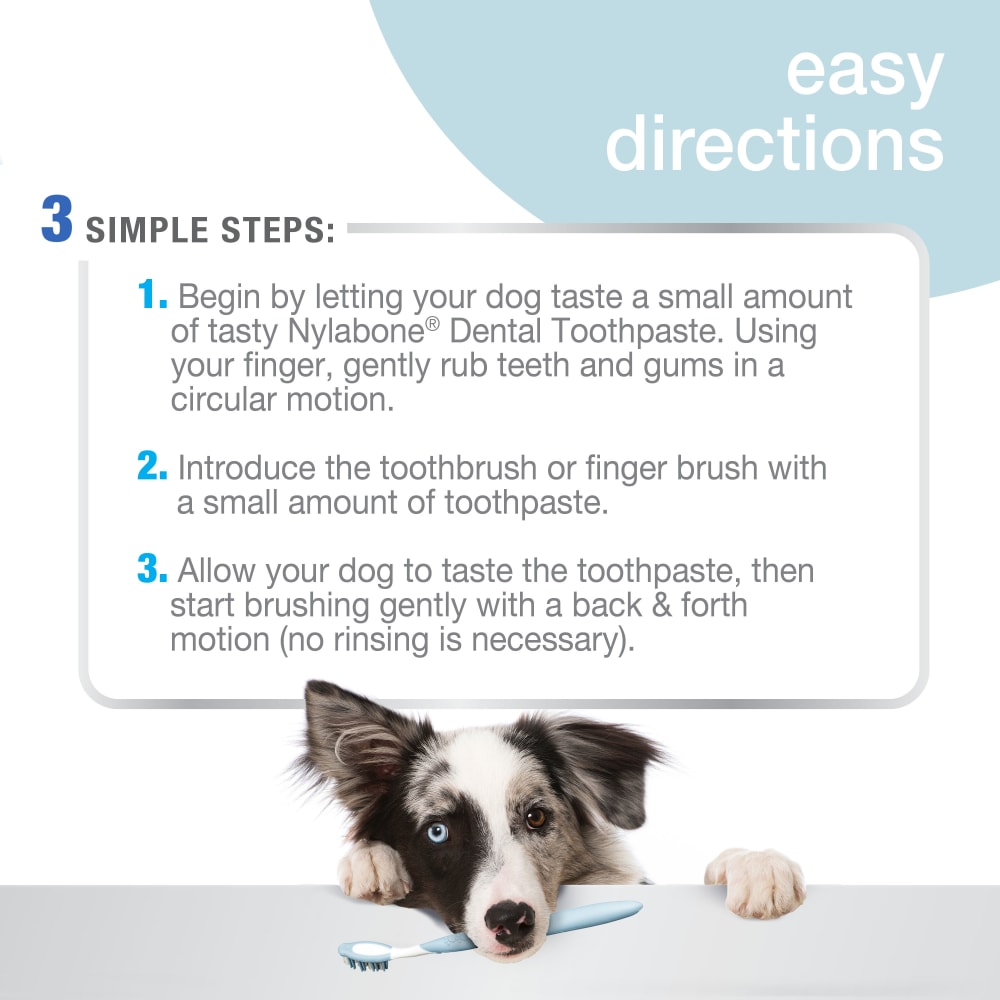 Nylabone advanced oral care dog dental kit best sale