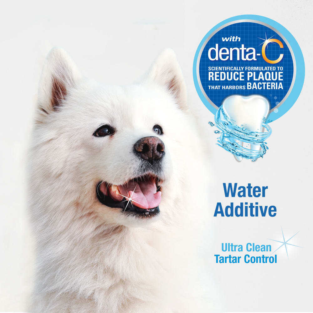 Advanced Oral Care Water Additive for Dogs Nylabone