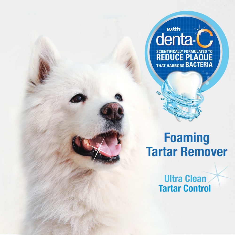 Advanced Oral Care Foaming Tartar Remover Nylabone