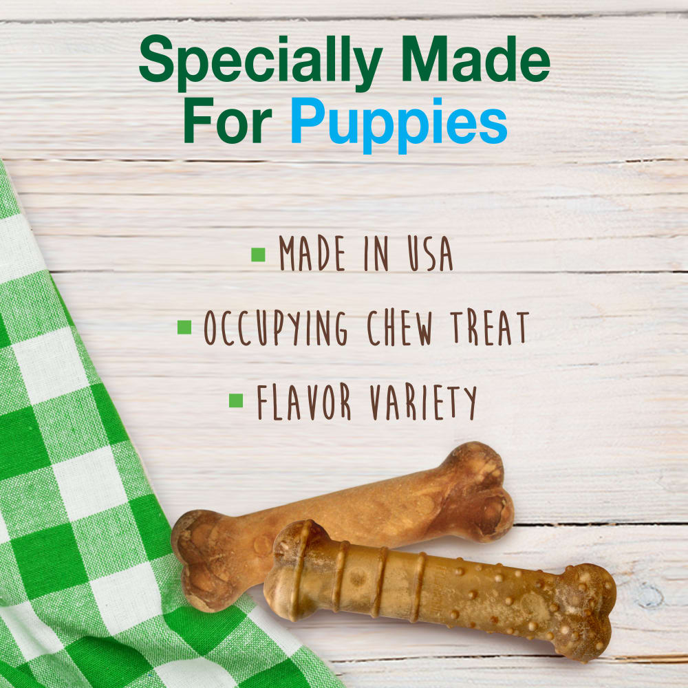 Puppy Chew Treat Triple Pack Healthy Edibles Nylabone