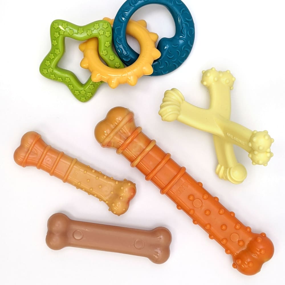 Puppy Power Chew Puppy Teething Rings Nylabone