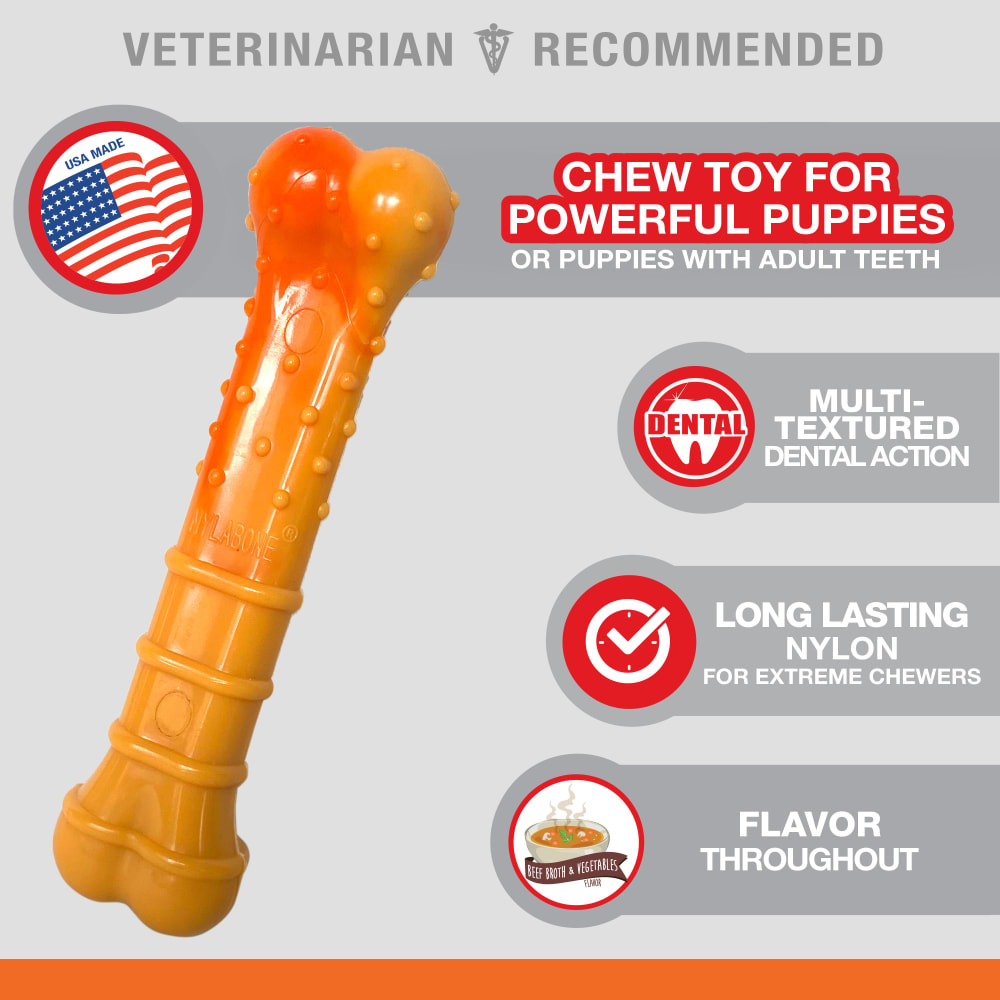 Textured Nylon Puppy Chew Toy Nylabone