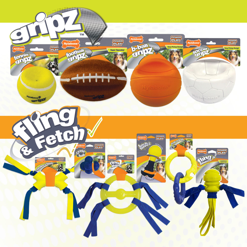 018214848707-nylabone-nyla-play-flat-soccer-ball-5-5in-inpackage-family