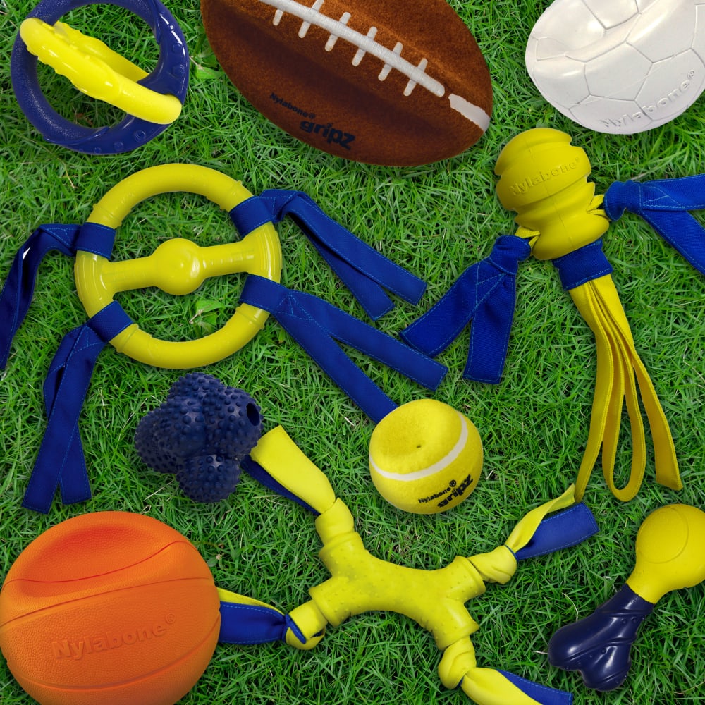 018214848707-nylabone-nyla-play-flat-soccer-ball-5-5in-outofpackage-family