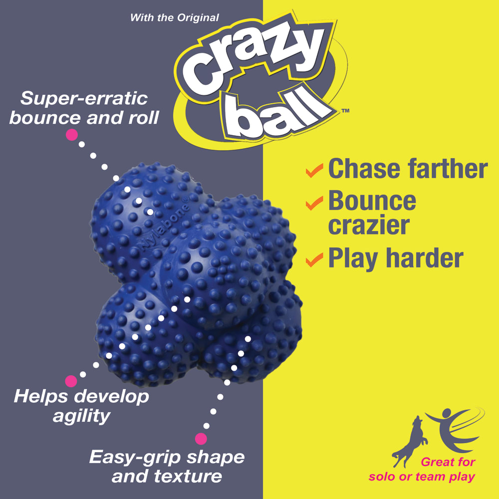 018214848790-nylabone-nyla-play-crazy-ball-otherimages-graphics