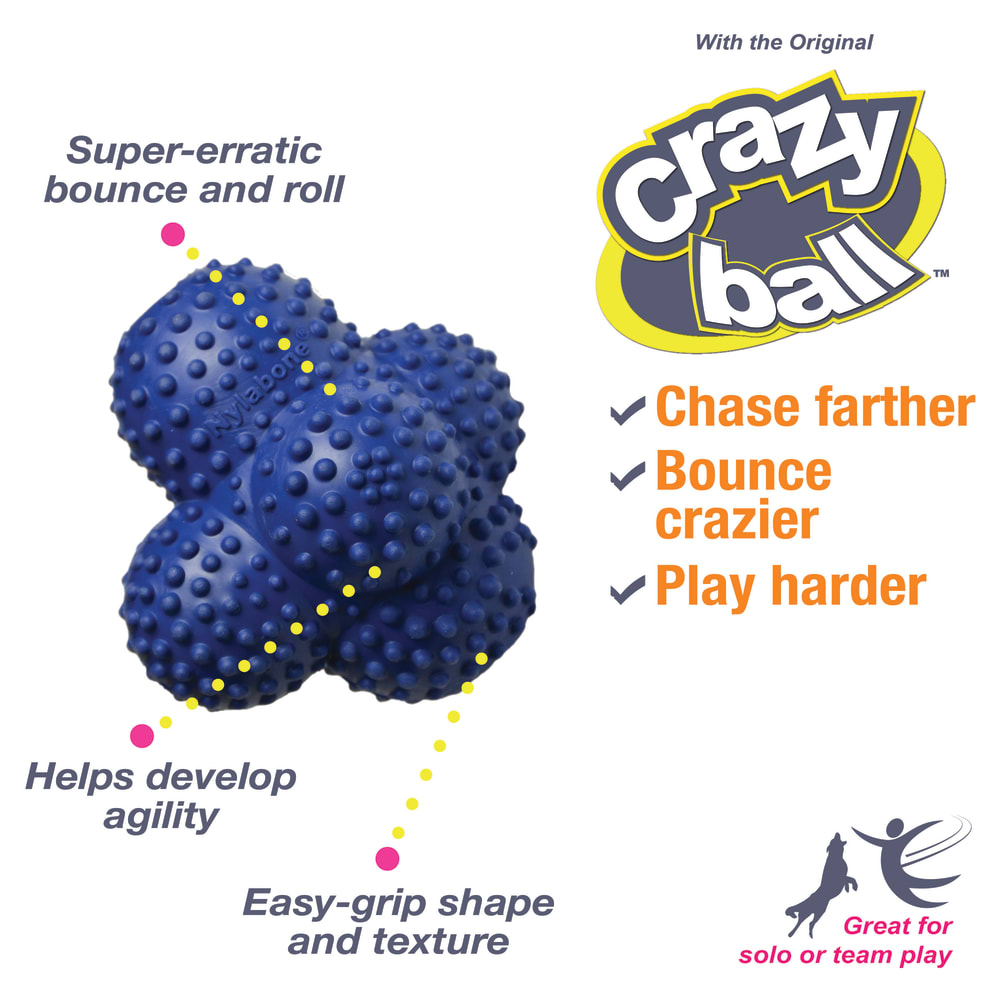 018214848790-nylabone-nyla-play-crazy-ball-otherimages-graphicshero