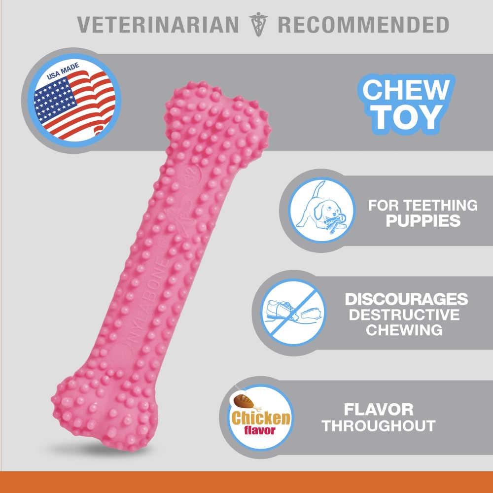 Puppy Teething Soothing Flexible Chew Toy Nylabone