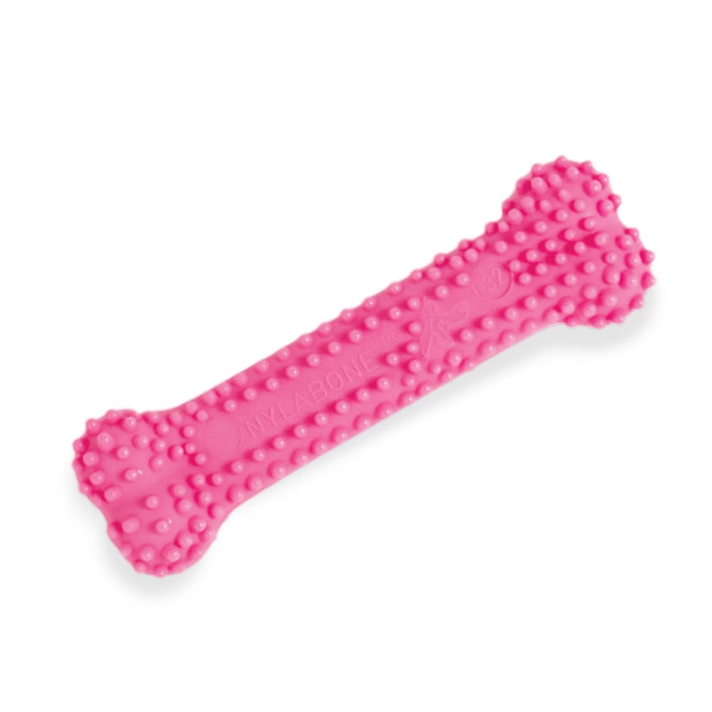 018214832386-nylabone-puppy-dental-chew-pink-pet-bl-outofboxfront