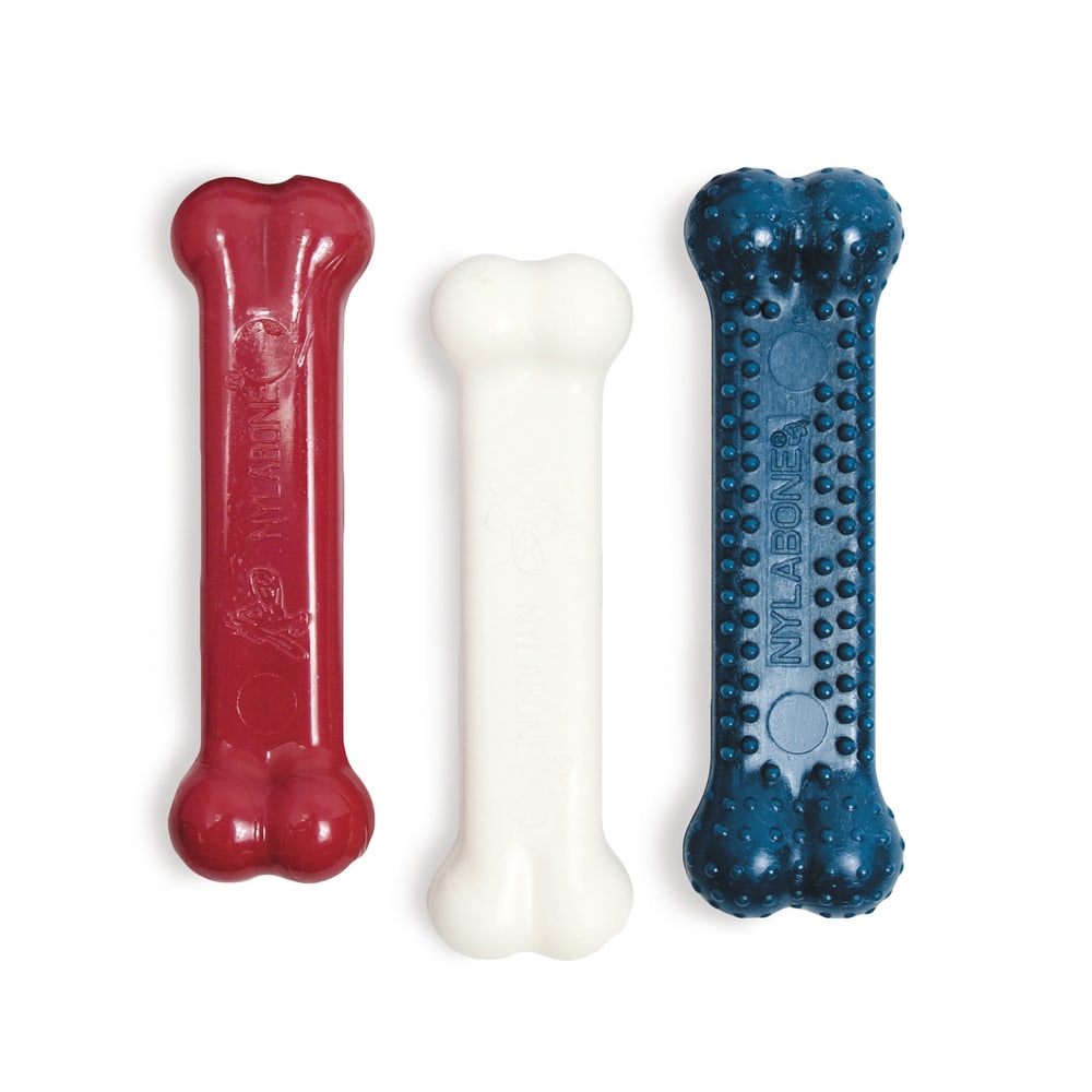 Nylabone 3 pack hotsell