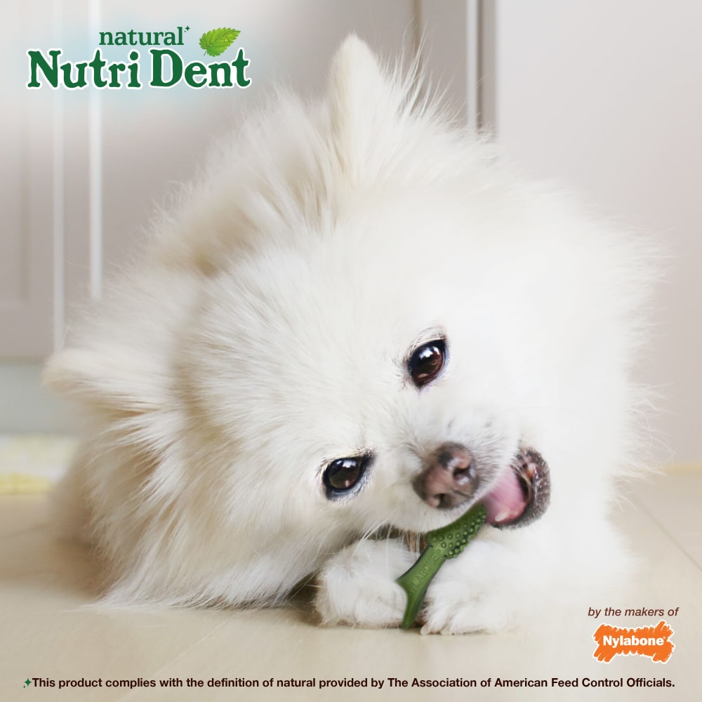 Natural nutri dent hotsell