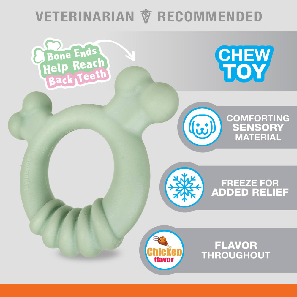 Sensory Material Puppy Teething Ring Nylabone