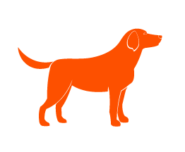 up-to-50lb_icon