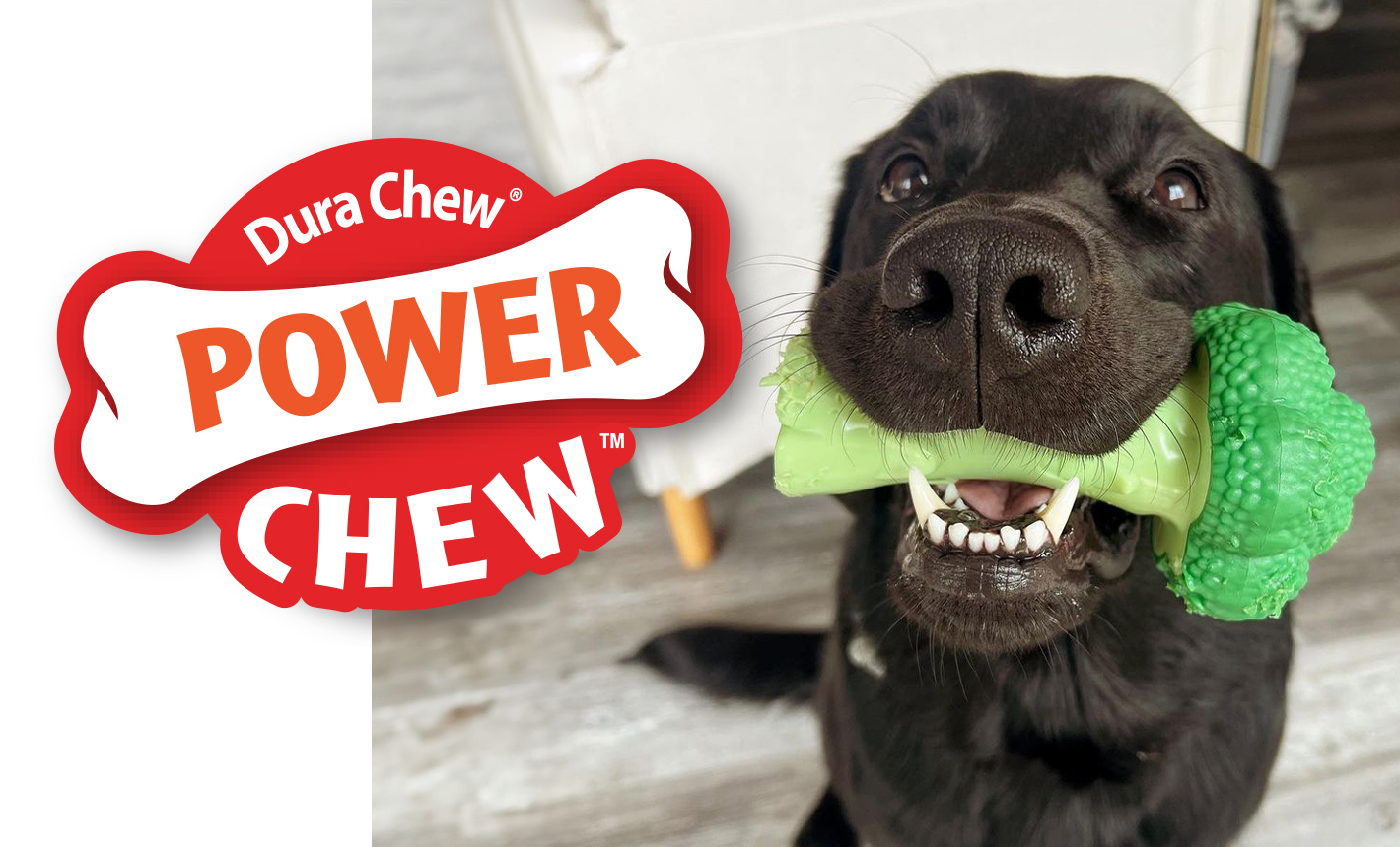 WEBSITE-LP-GFU-Prd-V2-PowerChew_710x430