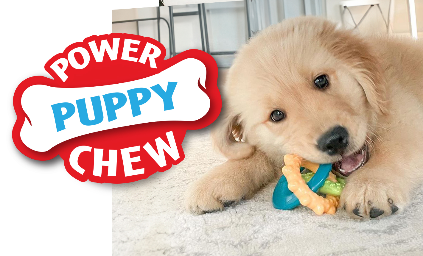 WEBSITE-LP-GFU-Prd-V2-PowerPuppyChew_710x430