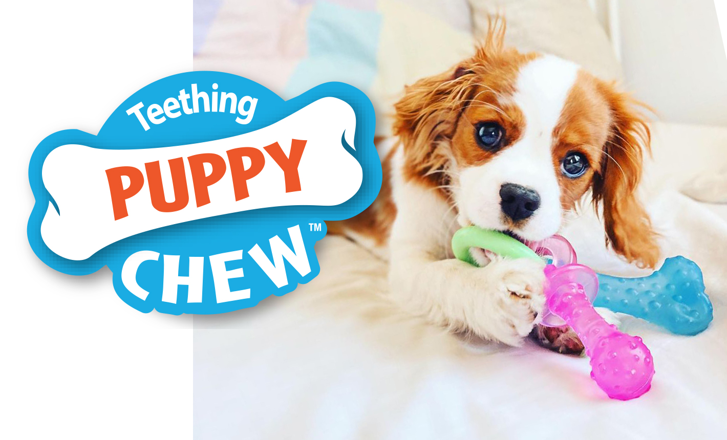 WEBSITE-LP-GFU-Prd-V2-PuppyChew_710x430