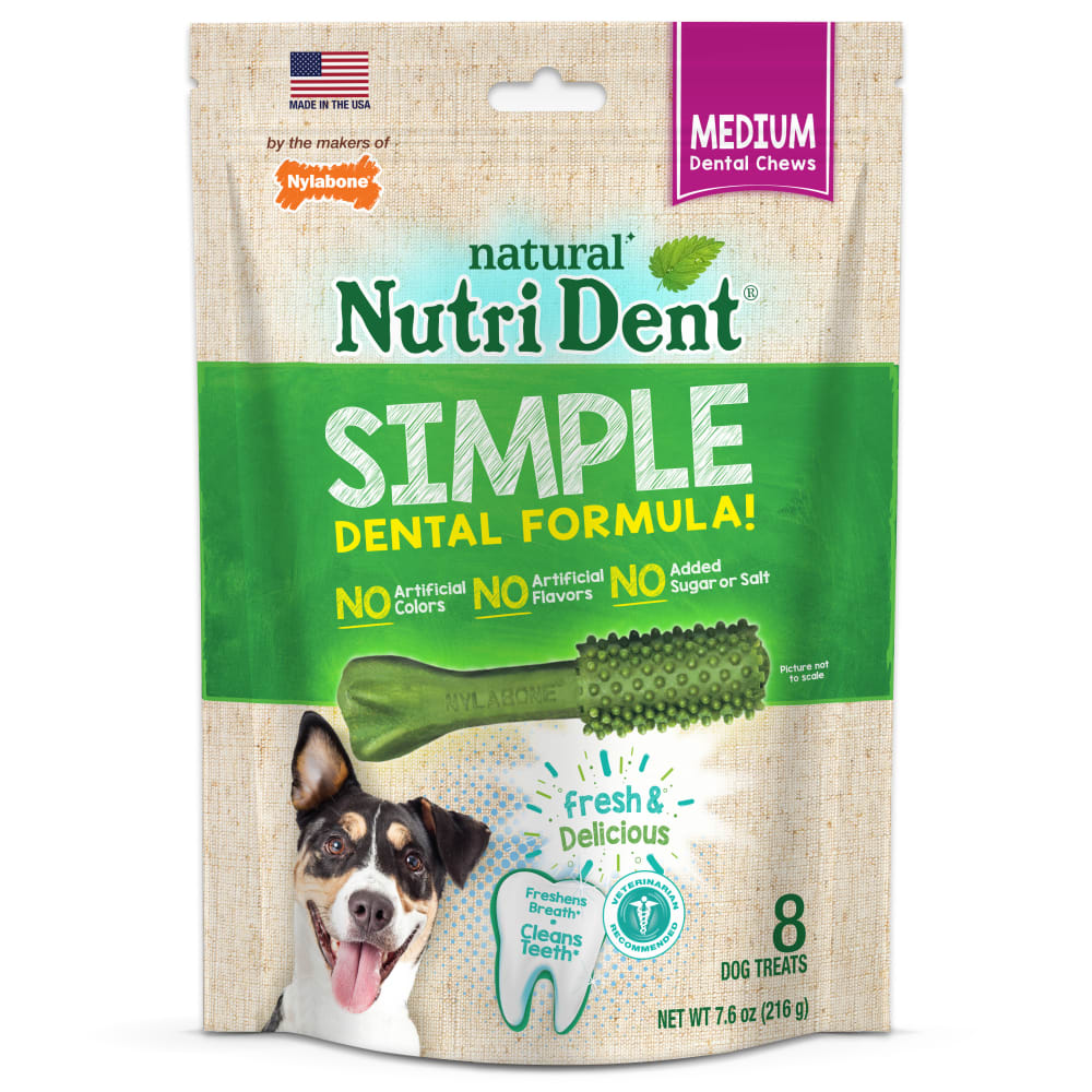 Nylabone nutri dent mini hotsell